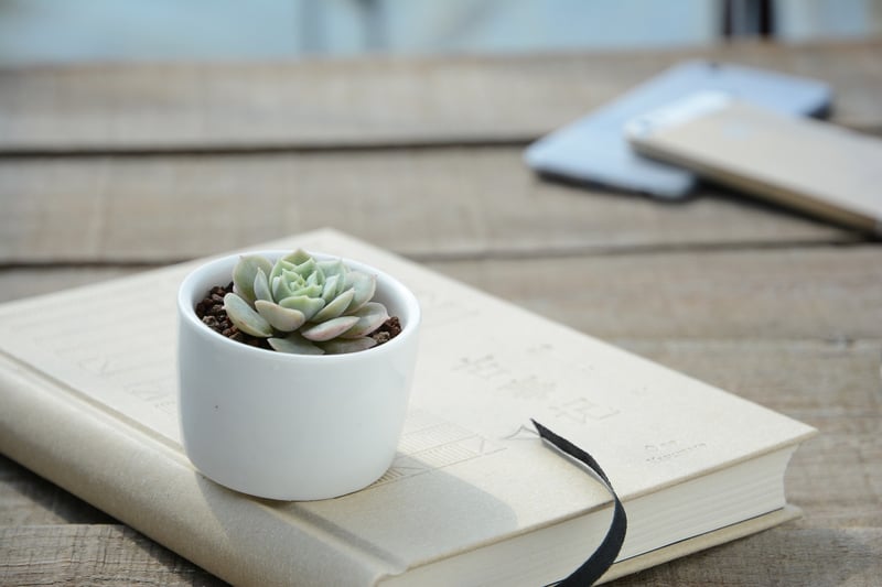 Creative Planting Vessel